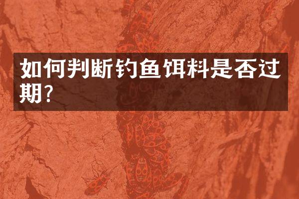 如何判断钓鱼饵料是否过期？