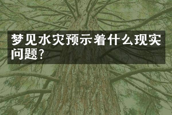 梦见水灾预示着什么现实问题？