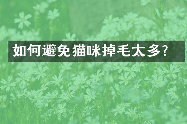 如何避免猫咪掉毛太多？
