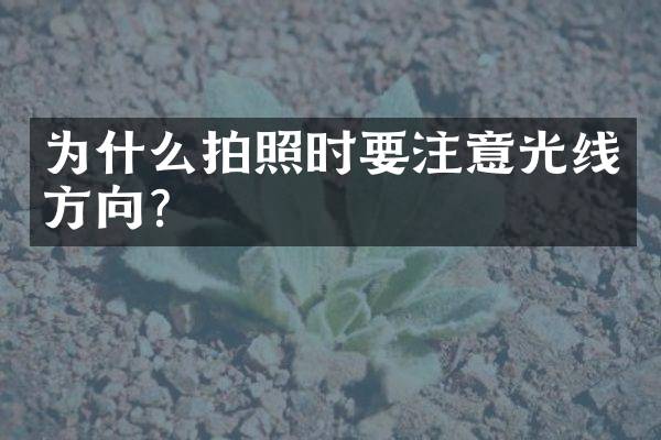 为什么拍照时要注意光线方向？