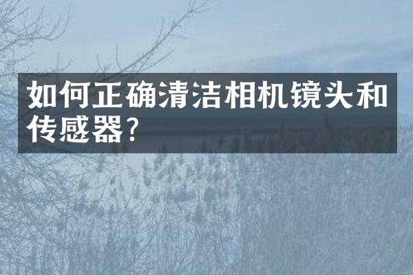如何正确清洁相机镜头和传感器？