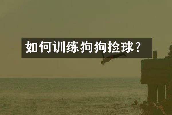 如何训练狗狗捡球？