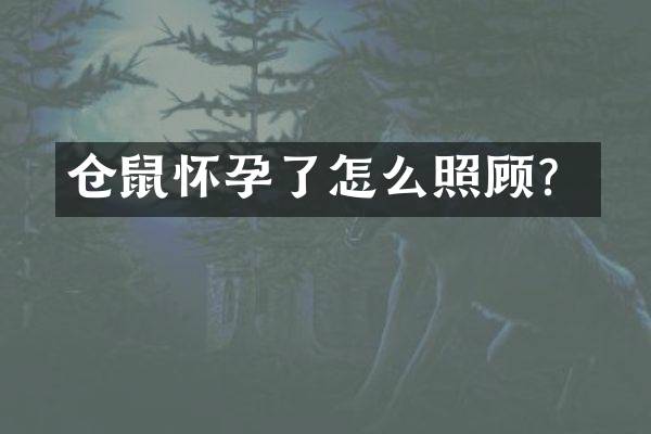 仓鼠怀孕了怎么照顾？