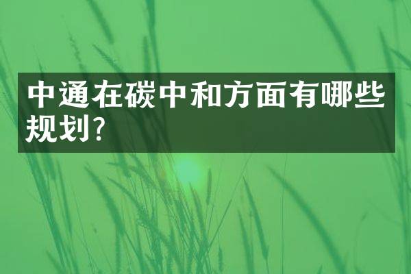 中通在碳中和方面有哪些规划？