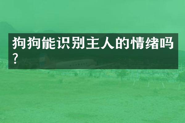 狗狗能识别主人的情绪吗？