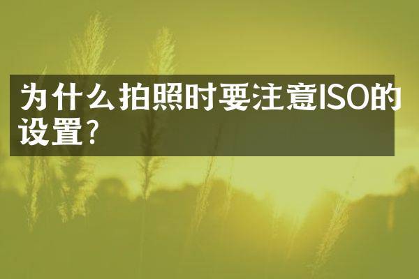 为什么拍照时要注意ISO的设置？