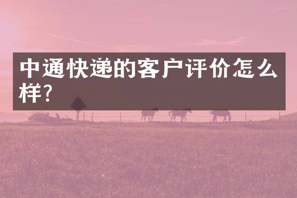 中通快递的客户评价怎么样？
