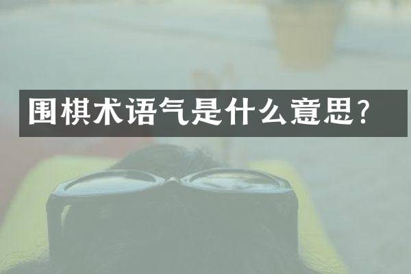 围棋术语气是什么意思？