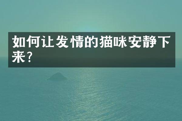 如何让发情的猫咪安静下来？