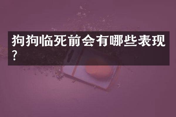 狗狗临死前会有哪些表现？
