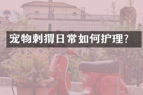 宠物刺猬日常如何护理？