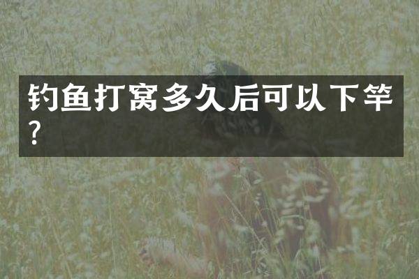 钓鱼打窝多久后可以下竿？