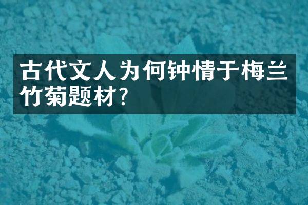古代文人为何钟情于梅兰竹菊题材？