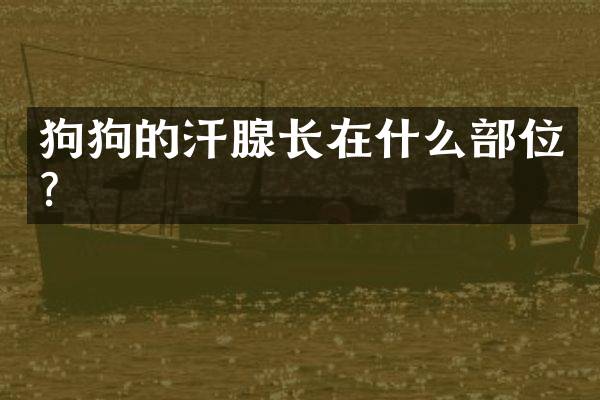 狗狗的汗腺长在什么部位？