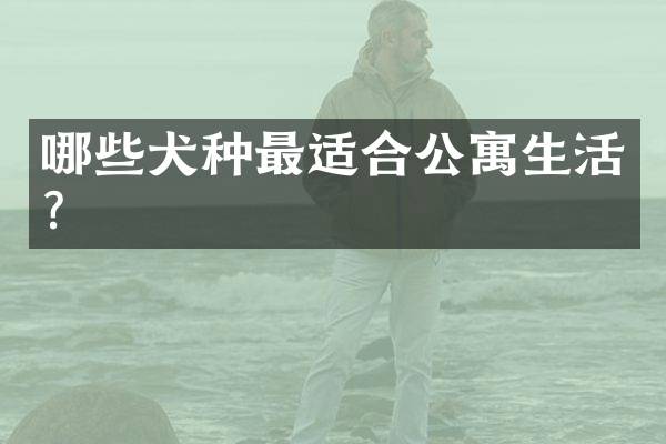 哪些犬种最适合公寓生活？