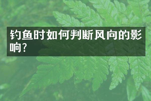 钓鱼时如何判断风向的影响？