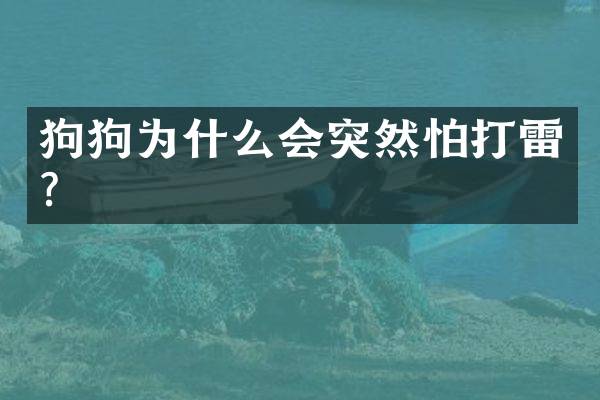 狗狗为什么会突然怕打雷？