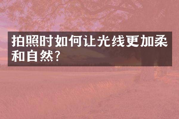 拍照时如何让光线更加柔和自然？