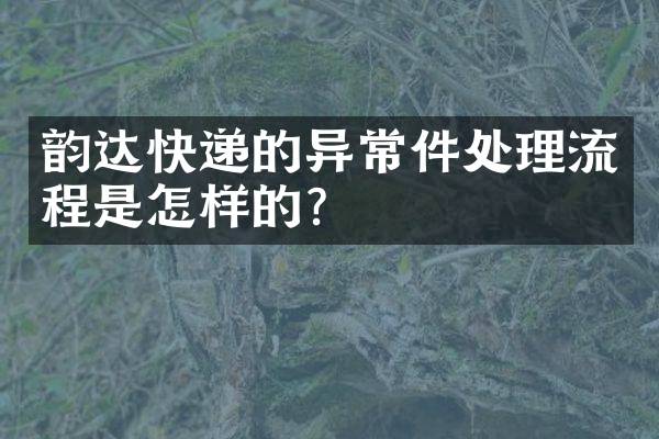 韵达快递的异常件处理流程是怎样的？