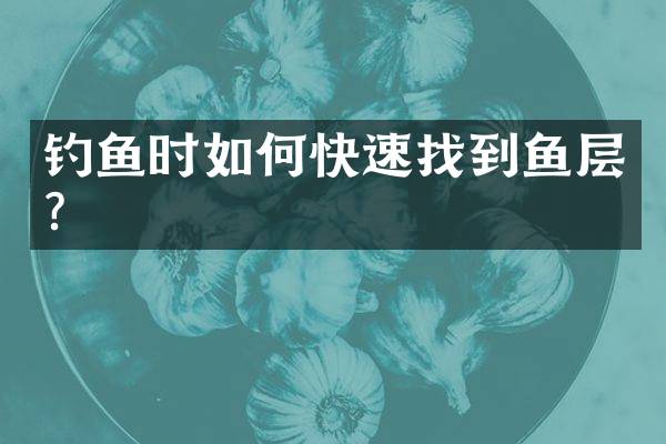 钓鱼时如何快速找到鱼层？