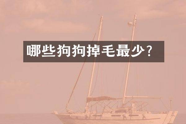 哪些狗狗掉毛最少？