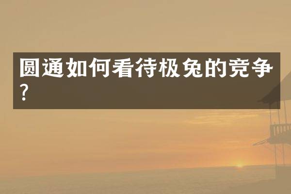 圆通如何看待极兔的竞争？