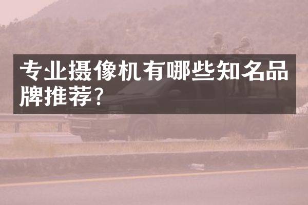 专业摄像机有哪些知名品牌推荐？