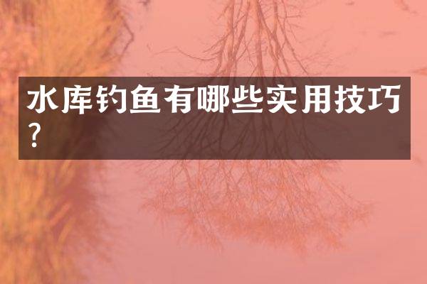 水库钓鱼有哪些实用技巧？