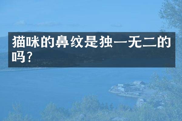 猫咪的鼻纹是独一无二的吗？