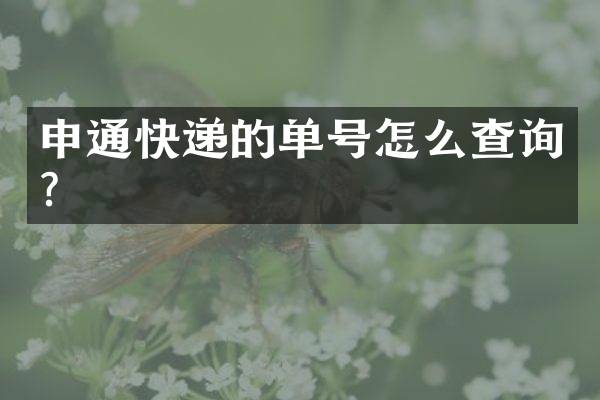 申通快递的单号怎么查询？