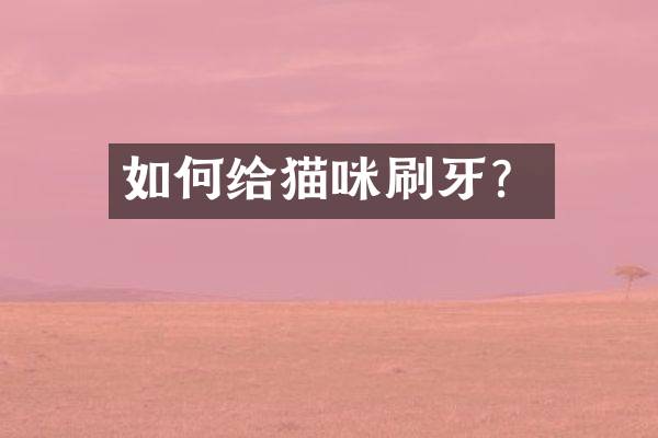 如何给猫咪刷牙？