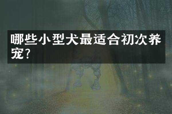 哪些小型犬最适合初次养宠？