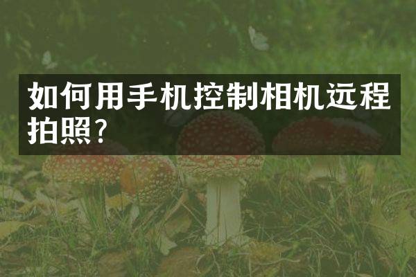 如何用手机控制相机远程拍照？