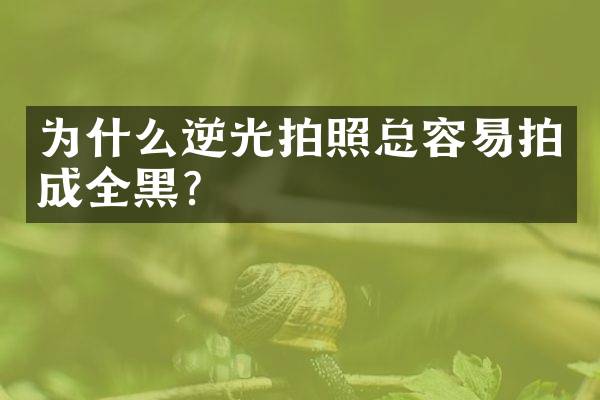 为什么逆光拍照总容易拍成全黑？