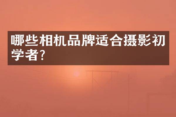 哪些相机品牌适合摄影初学者？