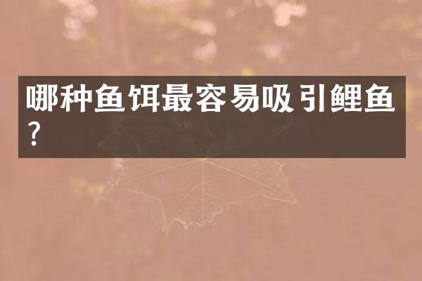 哪种鱼饵最容易吸引鲤鱼？