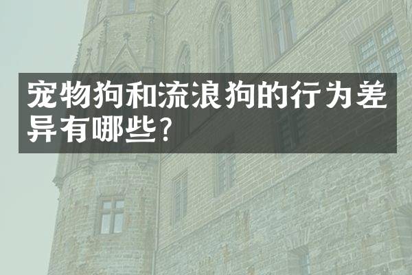 宠物狗和流浪狗的行为差异有哪些？