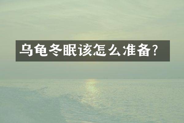 乌龟冬眠该怎么准备？