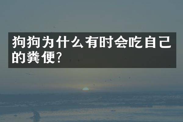 狗狗为什么有时会吃自己的粪便？