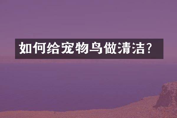 如何给宠物鸟做清洁？