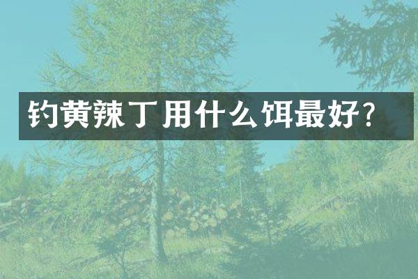 钓黄辣丁用什么饵最好？