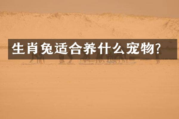 生肖兔适合养什么宠物？