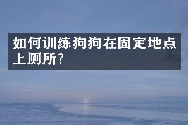 如何训练狗狗在固定地点上厕所？