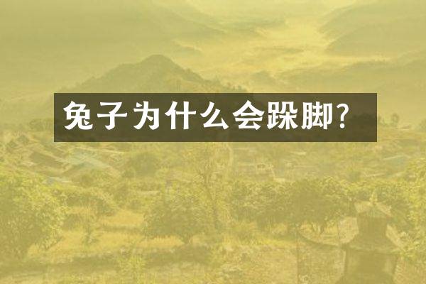 兔子为什么会跺脚？