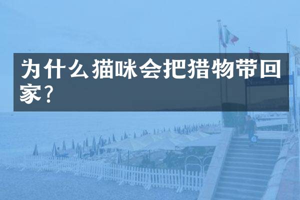 为什么猫咪会把猎物带回家？