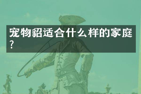 宠物貂适合什么样的家庭？