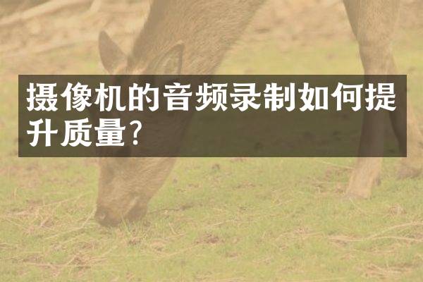 摄像机的音频录制如何提升质量？