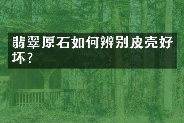 翡翠原石如何辨别皮壳好坏？