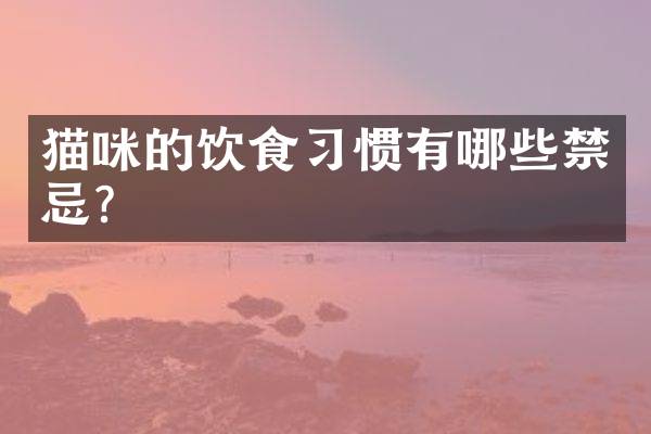 猫咪的饮食习惯有哪些禁忌？