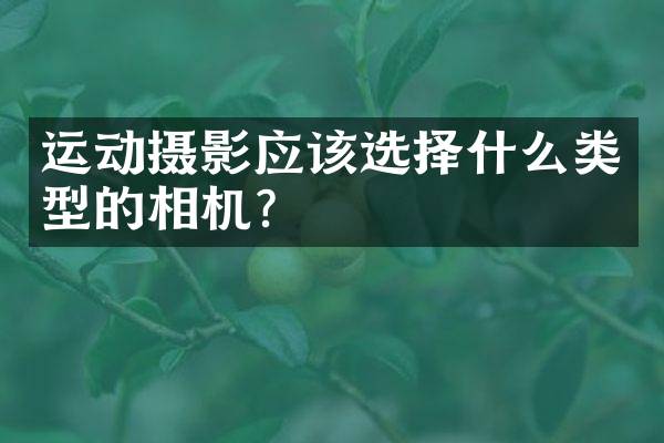 运动摄影应该选择什么类型的相机？